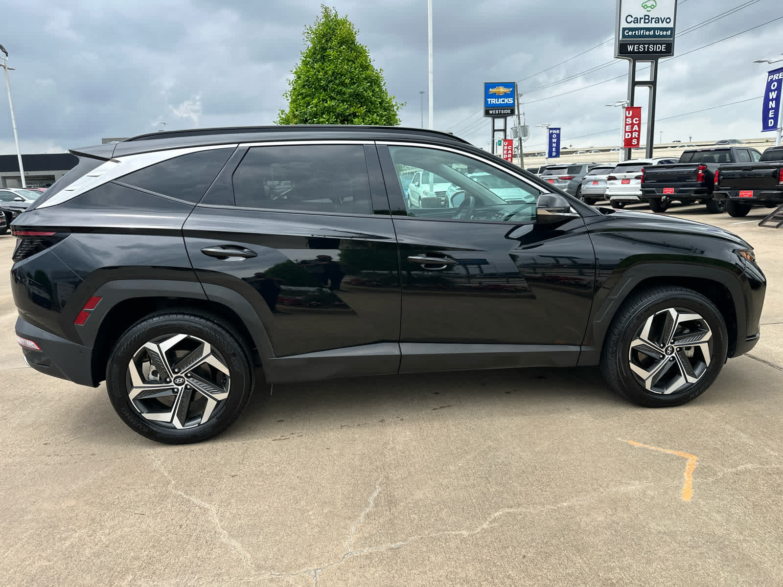 2024 Hyundai Tucson Limited